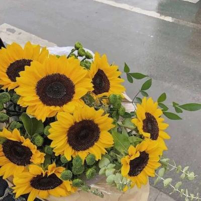 NG体育手机app下载