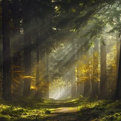 cq9电子游戏app手机app下载