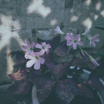 万博manbetx客户端